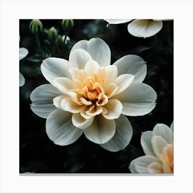 White Dahlia Flower Canvas Print