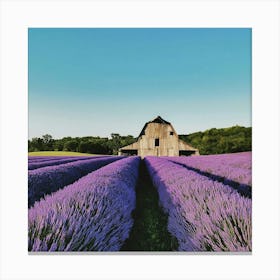 Lavender Field With Barn 1 Canvas Print