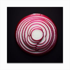 A sliced, circular, red radish root on a black background Canvas Print