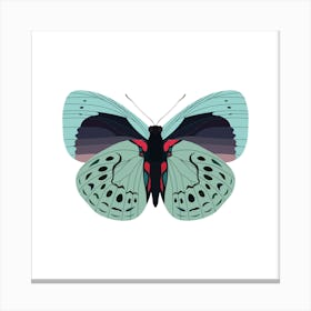 Gossamer Butterfly Square Canvas Print