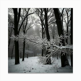 Snowy Forest 3 Canvas Print