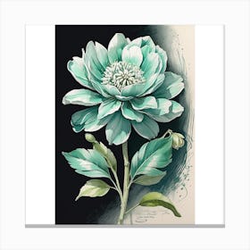 Peony Canvas Print