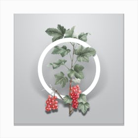 Vintage Redcurrant Plant Minimalist Botanical Geometric Circle on Soft Gray n.0148 Canvas Print