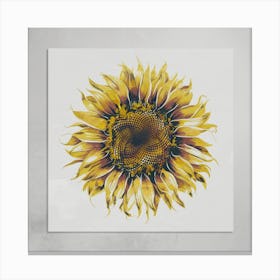 Sunflower 1 Canvas Print