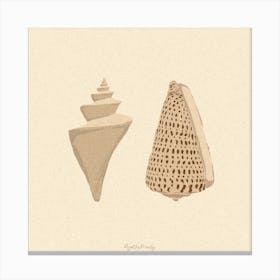 Couple Of Seashells Square Canvas Print