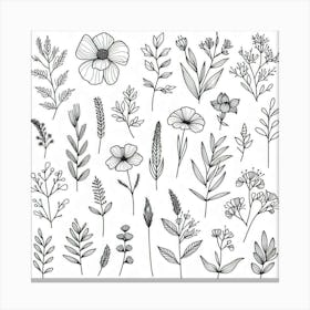 Hand Drawn Sketch Of Flowers Canvas Print