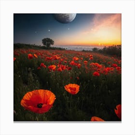 Poppy Field At Sunset Canvas Print