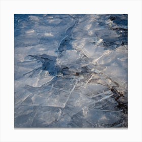 Ice On The Lake Canvas Print