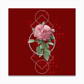 Vintage Giant French Rose Botanical with Geometric Line Motif and Dot Pattern n.0121 Canvas Print
