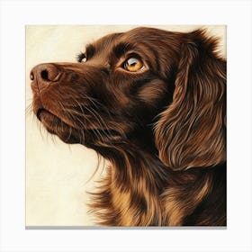 Brown Spaniel Leinwandbild