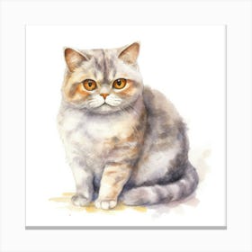 Scottish Fold Shorthair Cat Portrait Canvas Print