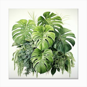Monstera Plants Canvas Print