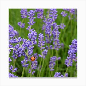 Lavender And Ladybird Stampe su tela