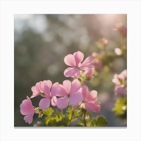 A Blooming Geranium Blossom Tree With Petals Gently Falling In The Breeze Canvas Print