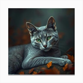 Grey Cat In Autumn Leaves Stampe su tela