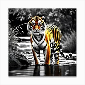 Tiger In Water 3 Canvas Print