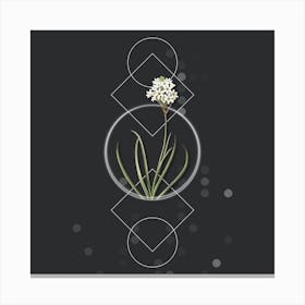 Vintage Arabian Starflower Botanical with Geometric Line Motif and Dot Pattern Canvas Print