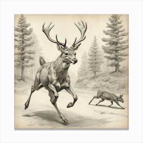 Deer In The Woods 8 Canvas Print