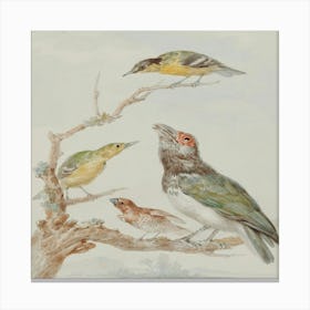 Three Birds Perched On A Branch 1 Canvas Print