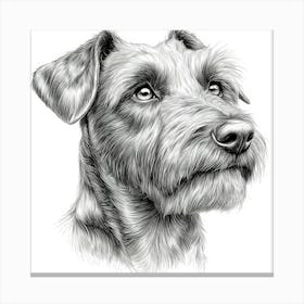 Airedale Terrier 1 Canvas Print