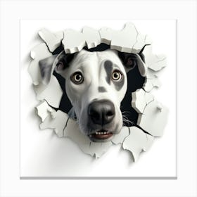 Dalmatian 4 Canvas Print