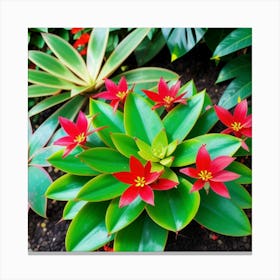 Red Flowers In A Garden Canvas Print