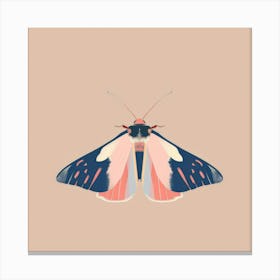 Pink Moth Canvas Print