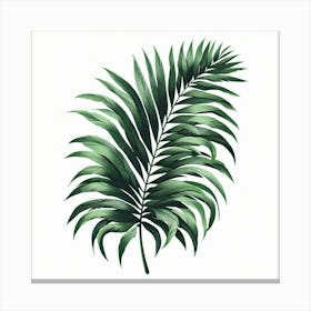 Tropical green palm leaf 6 Canvas Print