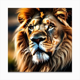 Lion Portrait 9 Canvas Print