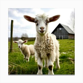 Grass Rural Green Goat Farm White Nature Field Mammal Milk Farming Farm Animal Domestic (2) 1 Canvas Print