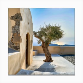 Olive Tree At The Entrance To The Traditional House On Santorini (I) Canvas Print