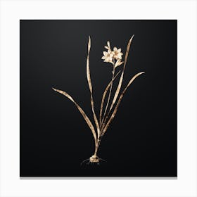 Gold Botanical Gladiolus Lineatus on Wrought Iron Black n.1210 Canvas Print