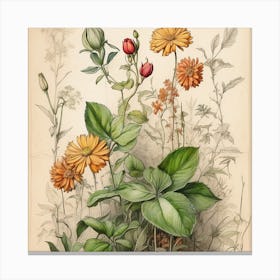 Wild Flowers Canvas Print