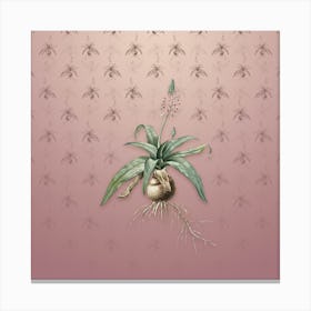 Vintage Lachenalia Lanceaefolia Botanical on Dusty Pink Pattern n.0959 Canvas Print