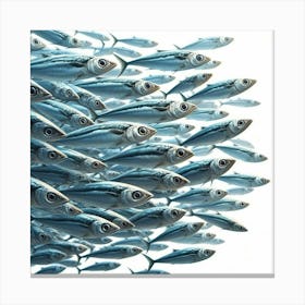 Sardines Going To School Kitchen Canvas Print