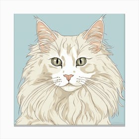 Coon Cat Canvas Print