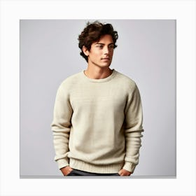 Mock Up Jumper Blank Plain Sweater Pullover Knit Cotton Wool Fleece Soft Comfy Cozy M (4) Canvas Print