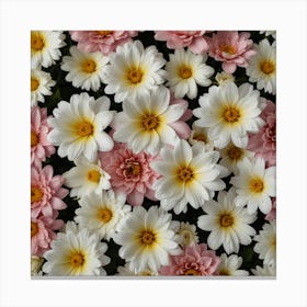 Dahlias Canvas Print