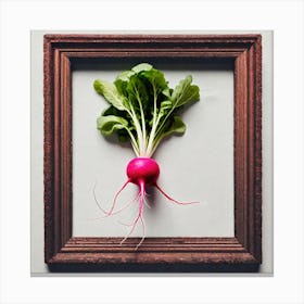 Radish 2 Canvas Print