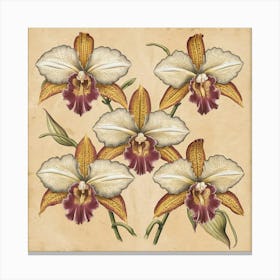 Orchids 3 A stunning illustration featuring vintage orchids. Each orchid is intricately detailed, showcasing the delicate petals,vibrant colors, and intricate patterns that make them unique. Canvas Print