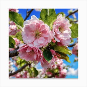 Blossoming Cherry Tree Canvas Print