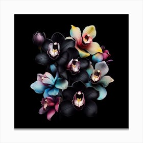 Black Orchids Canvas Print