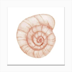 Pink Seashell 3 Canvas Print