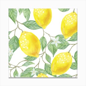 Lemons On A Branch 2 Canvas Print