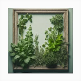 Frame Of Herbs 12 Canvas Print