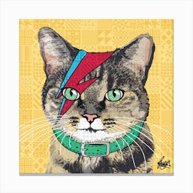 Bowie Tabby Square Canvas Print