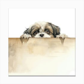 Shih Tzu 10 Canvas Print