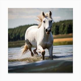 White Horse Running In Water 2 Canvas Print