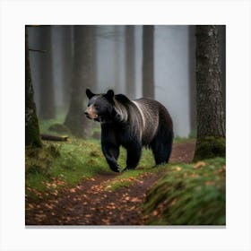 Black Bear In The Forest Canvas Print