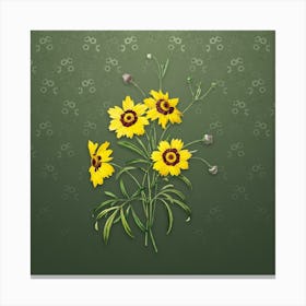 Vintage Coreopsis Elegans Botanical on Lunar Green Pattern Canvas Print